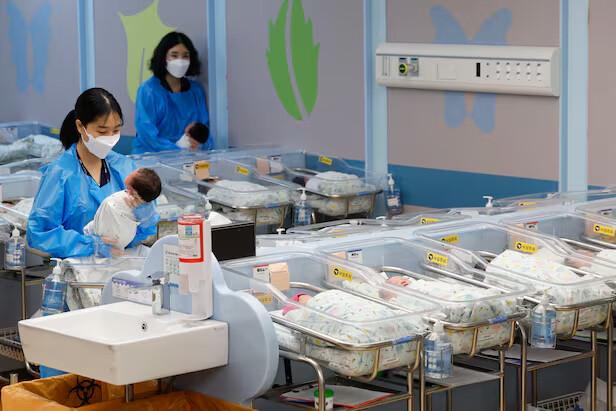 출산율 반등 조짐… '손주 소비' 늘리는 5060 세대