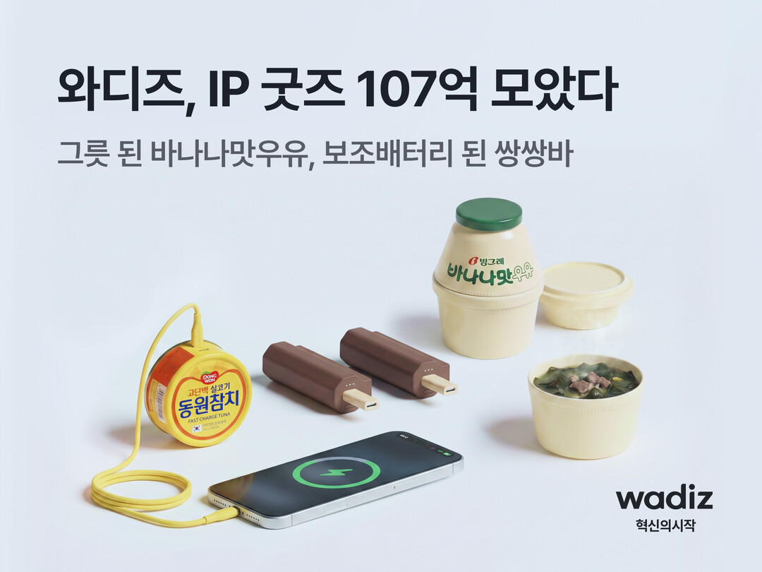 "그릇 된 바나나맛우유, 보조배터리 된 쌍쌍바”…와디즈, IP 굿즈 107억 모았다